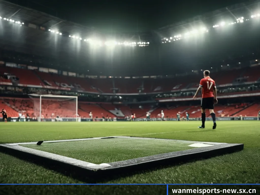 完美体育 APP 界面(wmsports)